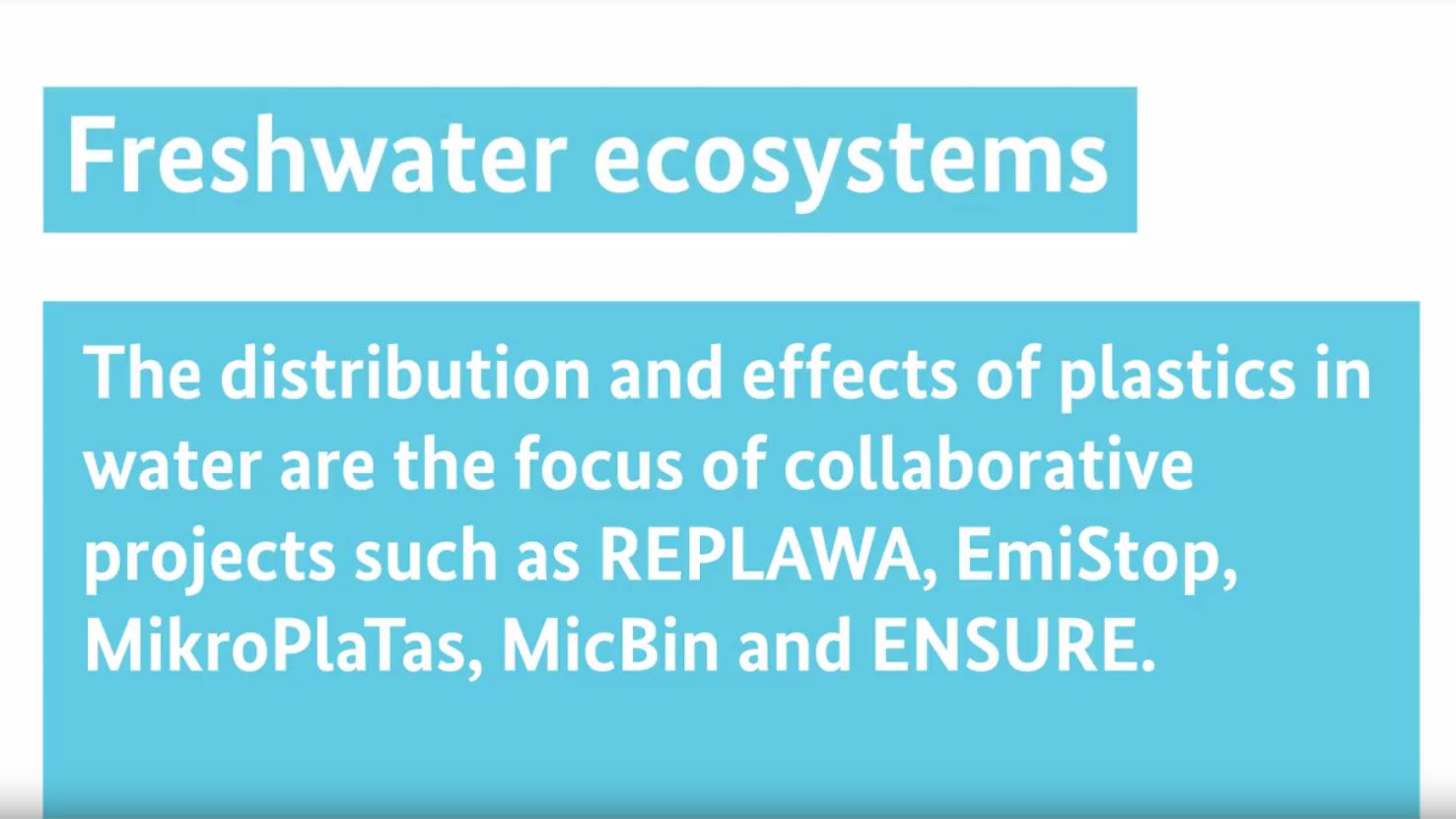 Video: Freshwater Ecosystem 1