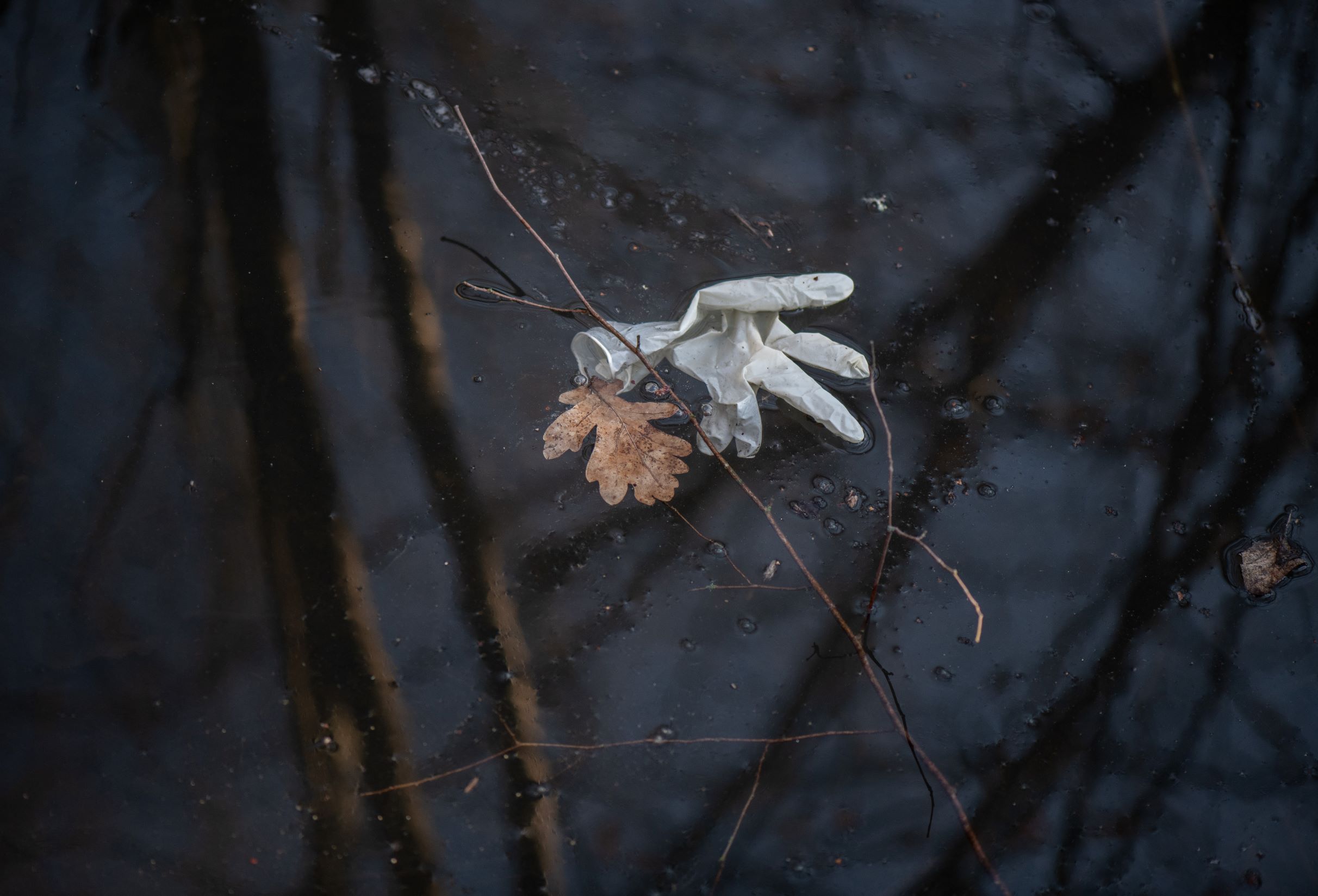 Plastik im Element Wasser