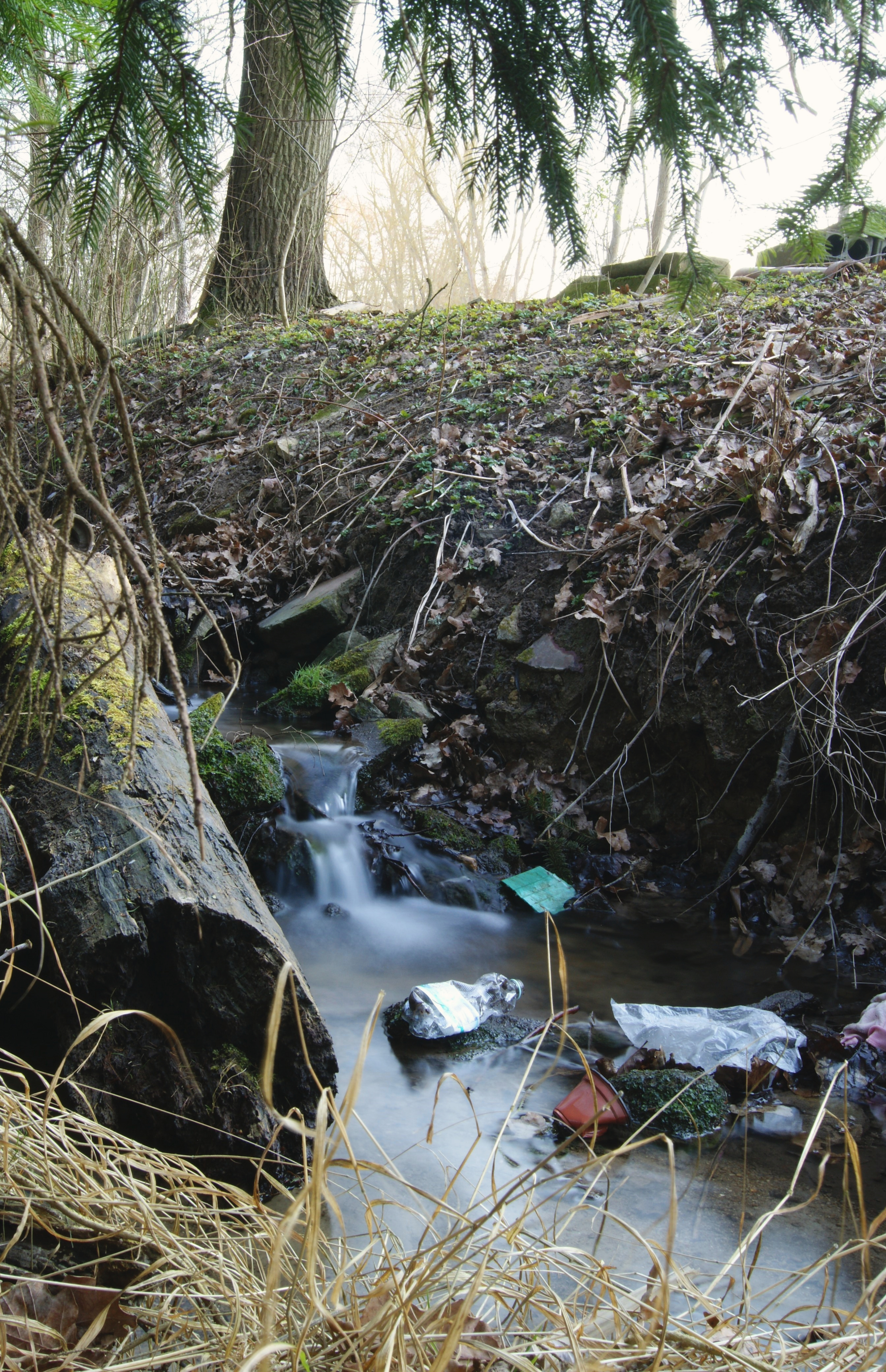 Verachtung der Natur